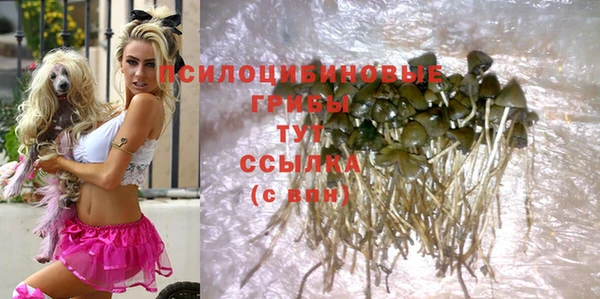 ГАЛЛЮЦИНОГЕННЫЕ ГРИБЫ Абинск
